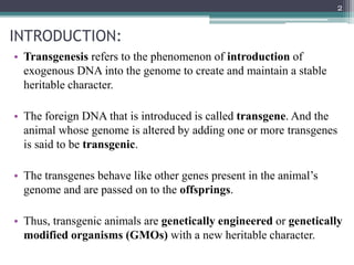 INTRODUCTION:
• Transgenesis refers to the phenomenon of introduction of
exogenous DNA into the genome to create and maintain a stable
heritable character.
• The foreign DNA that is introduced is called transgene. And the
animal whose genome is altered by adding one or more transgenes
is said to be transgenic.
• The transgenes behave like other genes present in the animal’s
genome and are passed on to the offsprings.
• Thus, transgenic animals are genetically engineered or genetically
modified organisms (GMOs) with a new heritable character.
2
 