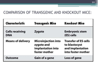 COMPARISON OF TRANSGENIC AND KNOCKOUT MICE:
20
 