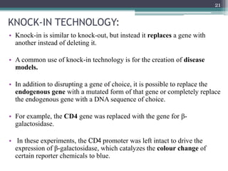 KNOCK-IN TECHNOLOGY:
• Knock-in is similar to knock-out, but instead it replaces a gene with
another instead of deleting it.
• A common use of knock-in technology is for the creation of disease
models.
• In addition to disrupting a gene of choice, it is possible to replace the
endogenous gene with a mutated form of that gene or completely replace
the endogenous gene with a DNA sequence of choice.
• For example, the CD4 gene was replaced with the gene for β-
galactosidase.
• In these experiments, the CD4 promoter was left intact to drive the
expression of β-galactosidase, which catalyzes the colour change of
certain reporter chemicals to blue.
21
 