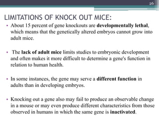 LIMITATIONS OF KNOCK OUT MICE:
• About 15 percent of gene knockouts are developmentally lethal,
which means that the genetically altered embryos cannot grow into
adult mice.
• The lack of adult mice limits studies to embryonic development
and often makes it more difficult to determine a gene's function in
relation to human health.
• In some instances, the gene may serve a different function in
adults than in developing embryos.
• Knocking out a gene also may fail to produce an observable change
in a mouse or may even produce different characteristics from those
observed in humans in which the same gene is inactivated.
26
 
