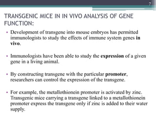 TRANSGENIC MICE IN IN VIVO ANALYSIS OF GENE
FUNCTION:
• Development of transgene into mouse embryos has permitted
immunologists to study the effects of immune system genes in
vivo.
• Immunologists have been able to study the expression of a given
gene in a living animal.
• By constructing transgene with the particular promoter,
researchers can control the expression of the transgene.
• For example, the metallothionein promoter is activated by zinc.
Transgenic mice carrying a transgene linked to a metallothionein
promoter express the transgene only if zinc is added to their water
supply.
7
 