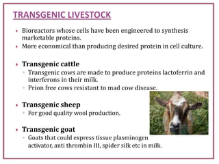 Transgenic animals