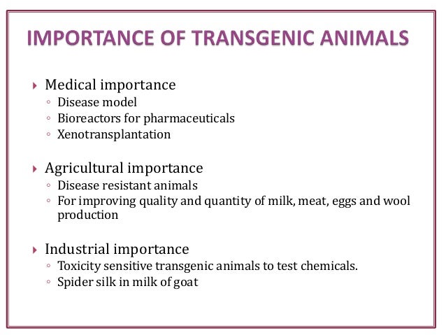 biotechnology and the ethics behind the creation of transgenic animals It provides an introduction to the science behind transgenics as well as demonstrates how, if properly executed, an ethics advisory board can help 6 og maksimenko, av deykin, use of transgenic animals in biotechnology: prospects and begun to delve into the research and development of transgenic animals. biotechnology and the ethics behind the creation of transgenic animals It provides an introduction to the science behind transgenics as well as demonstrates how, if properly executed, an ethics advisory board can help 6 og maksimenko, av deykin, use of transgenic animals in biotechnology: prospects and begun to delve into the research and development of transgenic animals.