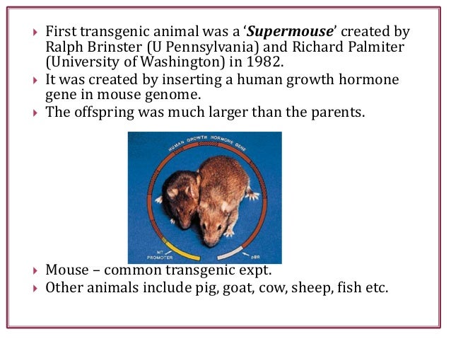 Download Transgenic Animals Notes Pdf Pictures