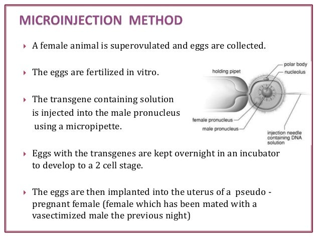 Importance of transgenic animals information