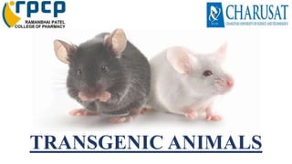 TRANSGENIC ANIMALS
 