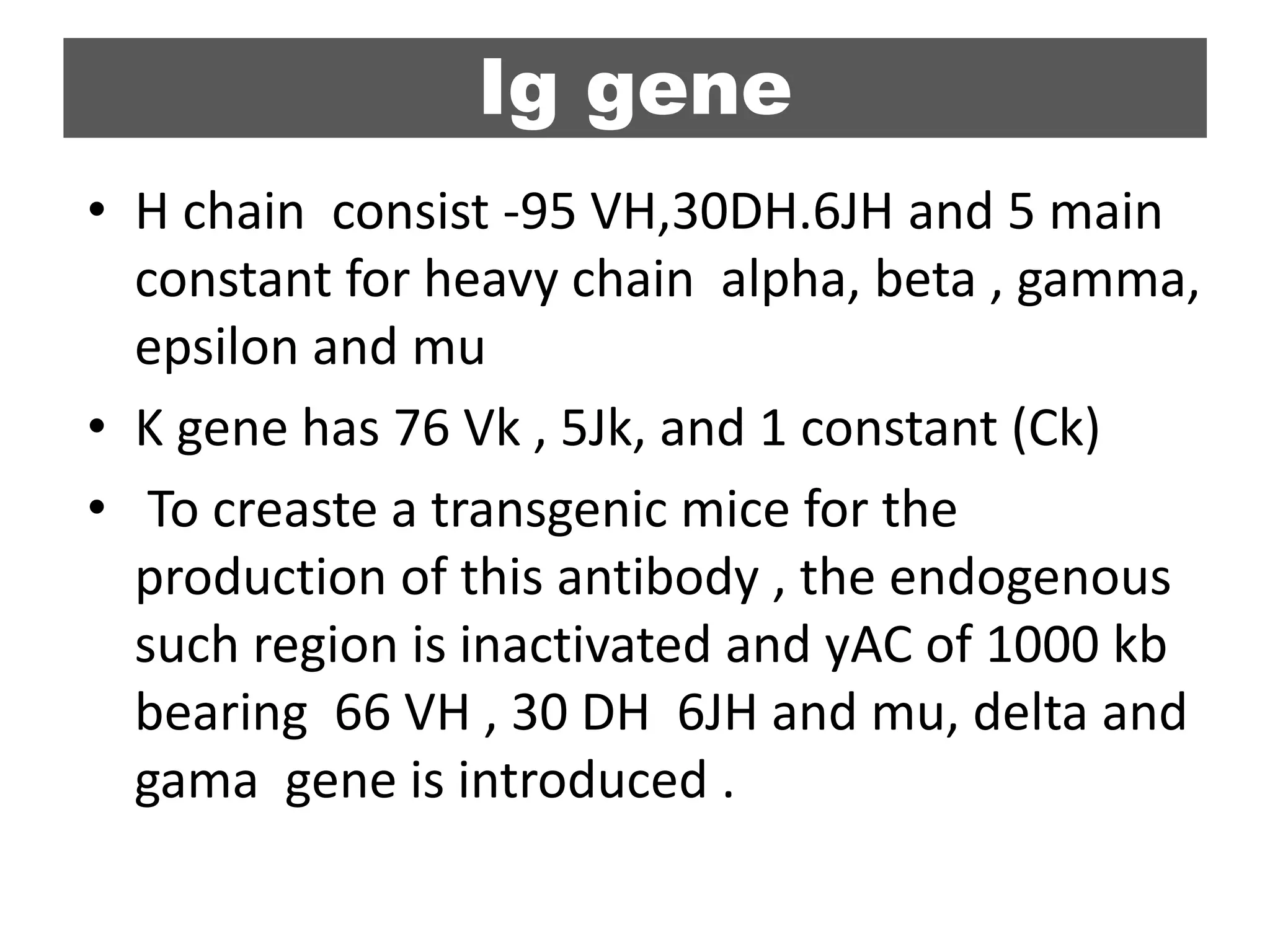 Ig gene
• H chain consist -95 VH,30DH.6JH and 5 main
constant for heavy chain alpha, beta , gamma,
epsilon and mu
• K gene has 76 Vk , 5Jk, and 1 constant (Ck)
• To creaste a transgenic mice for the
production of this antibody , the endogenous
such region is inactivated and yAC of 1000 kb
bearing 66 VH , 30 DH 6JH and mu, delta and
gama gene is introduced .
 