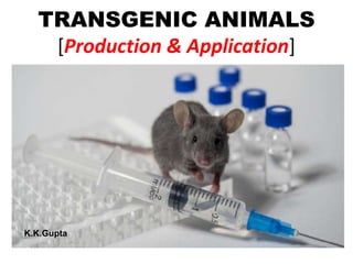 TRANSGENIC ANIMALS
[Production & Application]
K.K.Gupta
 