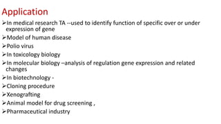 Transgenic animal models & their | PPTX
