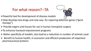 Transgenic animal models & their | PPTX