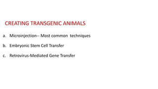 Transgenic animal models & their | PPTX