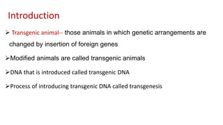 Transgenic animal models & their