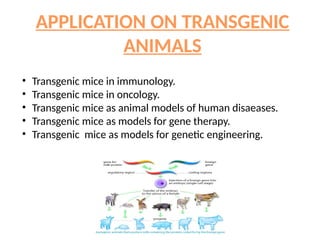Transgenic animal production and their uses.pptx