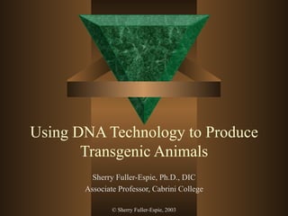 Using DNA Technology to Produce Transgenic Animals Sherry Fuller-Espie, Ph.D., DIC Associate Professor, Cabrini College © Sherry Fuller-Espie, 2003 