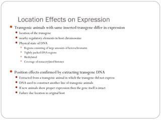 Location Effects on Expression
 Transgenic animals with same inserted transgene differ in expression
 location of the transgene
 nearby regulatory elements in host chromosome
 Physical state of DNA
 Regions consisting of large amounts of heterochromatin
 Tightly packed DNA regions
 Methylated
 Coverage of nonacetylated histones

 Position effects confirmed by extracting transgene DNA
 Extracted from a transgenic animal in which the transgene did not express
 DNA used to construct another line of transgenic animals
 If new animals show proper expression then the gene itself is intact
 Failure due location in original host

14

 
