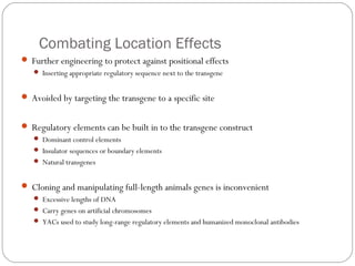 Combating Location Effects
 Further engineering to protect against positional effects
 Inserting appropriate regulatory sequence next to the transgene

 Avoided by targeting the transgene to a specific site
 Regulatory elements can be built in to the transgene construct
 Dominant control elements
 Insulator sequences or boundary elements
 Natural transgenes

 Cloning and manipulating full-length animals genes is inconvenient
 Excessive lengths of DNA
 Carry genes on artificial chromosomes
 YACs used to study long-range regulatory elements and humanized monoclonal antibodies

16

 