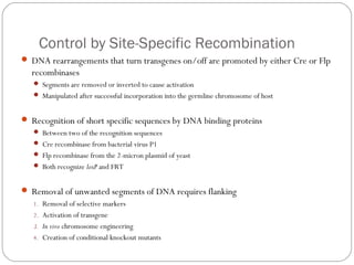 Control by Site-Specific Recombination
 DNA rearrangements that turn transgenes on/off are promoted by either Cre or Flp

recombinases
 Segments are removed or inverted to cause activation
 Manipulated after successful incorporation into the germline chromosome of host

 Recognition of short specific sequences by DNA binding proteins
 Between two of the recognition sequences
 Cre recombinase from bacterial virus P1
 Flp recombinase from the 2-micron plasmid of yeast
 Both recognize loxP and FRT

 Removal of unwanted segments of DNA requires flanking
1. Removal of selective markers
2. Activation of transgene
3. In vivo chromosome engineering
4. Creation of conditional knockout mutants

26

 
