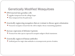 Genetically Modified Mosquitoes
 DNA inserted into germline cells
 piggyBac transposon from the cabbage looper
 Minos transposon from Drosophila hydei

 Genetically engineering mosquitoes that are resistant to disease agent colonization
 Noncarrier mosquitos released into the wild to displace disease-transmitting population

 Increase expression of defensin A protein
 Proteins from other species expressed in mosquito midgut to block transmission

 Genetically engineered human antibodies
 Artificial genes for single-chain antibodies to circumsporozoite protein of malaria

31

 