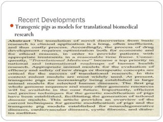 Recent Developments

Transgenic pigs as models for translational biomedical

research

45

 