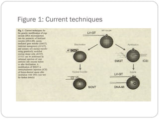 Figure 1: Current techniques

46

 