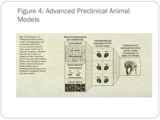 Figure 4: Advanced Preclinical Animal
Models

48

 