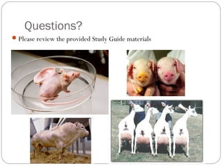 Questions?
 Please review the provided Study Guide materials

49

 