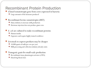 Recombinant Protein Production
 Cloned somatotropin gene from cows expressed in bacteria
 Large amounts of the hormone produced

 Recombinant bovine somatotropin (rBST)
 Diary industry to increase milk production
 Hormone injection does not produce giant cows

 E. coli are cultured to make recombinant proteins
 Human insulin
 Expensive and require highly trained workforce

 Livestock to express products may be cheaper
 10,000 quarts of milk per cow per year
 Milk processing and collection industry already exists

 Transgenic goats fro small-scale production
 Recombinant tissue plasminogen activator (rTPA)
 Dissolving blood clots

7

 