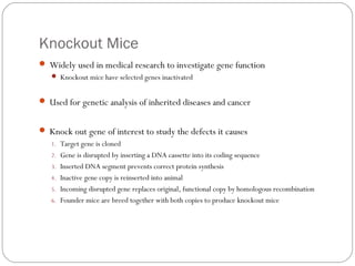 Knockout Mice
 Widely used in medical research to investigate gene function
 Knockout mice have selected genes inactivated

 Used for genetic analysis of inherited diseases and cancer
 Knock out gene of interest to study the defects it causes
1. Target gene is cloned
2. Gene is disrupted by inserting a DNA cassette into its coding sequence
3. Inserted DNA segment prevents correct protein synthesis
4. Inactive gene copy is reinserted into animal
5. Incoming disrupted gene replaces original, functional copy by homologous recombination
6. Founder mice are breed together with both copies to produce knockout mice

9

 
