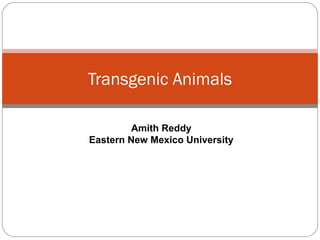 Transgenic Animals
Amith Reddy
Eastern New Mexico University

 