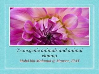 Transgenic animals and animal
cloning
Mohd bin Mahmud @ Mansor, FIAT

 