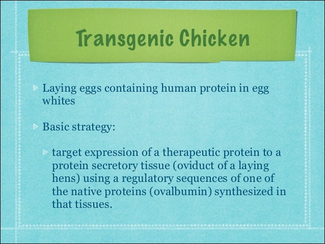 Transgenic Animals Transgenic Animals