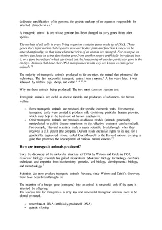 deliberate modification of its genome, the genetic makeup of an organism responsible for 
inherited characteristics.5 
A transgenic animal is one whose genome has been changed to carry genes from other 
species. 
The nucleus of all cells in every living organism contains genes made up of DNA. These 
genes store information that regulates how our bodies form and function. Genes can be 
altered artificially, so that some characteristics of an animal are changed. For example, an 
embryo can have an extra, functioning gene from another source artificially introduced into 
it, or a gene introduced which can knock out the functioning of another particular gene in the 
embryo. Animals that have their DNA manipulated in this way are knows as transgenic 
animals.20 
The majority of transgenic animals produced so far are mice, the animal that pioneered the 
technology. The first successful transgenic animal was a mouse.6 A few years later, it was 
followed by rabbits, pigs, sheep, and cattle.8,14,15,16 
Why are these animals being produced? The two most common reasons are: 
Transgenic animals are useful as disease models and producers of substances for human 
welfare. 
 Some transgenic animals are produced for specific economic traits. For example, 
transgenic cattle were created to produce milk containing particular human proteins, 
which may help in the treatment of human emphysema. 
 Other transgenic animals are produced as disease models (animals genetically 
manipulated to exhibit disease symptoms so that effective treatment can be studied). 
For example, Harvard scientists made a major scientific breakthrough when they 
received a U.S. patent (the company DuPont holds exclusive rights to its use) for a 
genetically engineered mouse, called OncoMouse® or the Harvard mouse, carrying a 
gene that promotes the development of various human cancers.22 
How are transgenic animals produced? 
Since the discovery of the molecular structure of DNA by Watson and Crick in 1953, 
molecular biology research has gained momentum. Molecular biology technology combines 
techniques and expertise from biochemistry, genetics, cell biology, developmental biology, 
and microbiology.2 
Scientists can now produce transgenic animals because, since Watson and Crick’s discovery, 
there have been breakthroughs in: 
The insertion of a foreign gene (transgene) into an animal is successful only if the gene is 
inherited by offspring. 
The success rate for transgenesis is very low and successful transgenic animals need to be 
cloned or mated. 
 recombinant DNA (artificially-produced DNA) 
 genetic cloning 
 