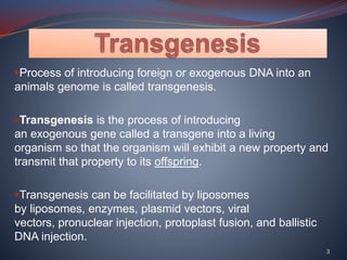 Transgenic Animals | PPTX