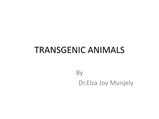 TRANSGENIC ANIMALS
By
Dr.Elza Joy Munjely
 