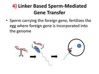 4) Linker Based Sperm-Mediated
Gene Transfer
• Sperm carrying the foreign gene, fertilizes the
egg where foreign gene is incorporated into
the genome
 