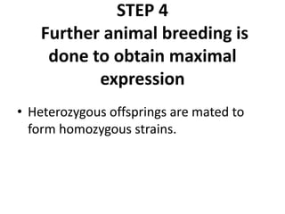 STEP 4
Further animal breeding is
done to obtain maximal
expression
• Heterozygous offsprings are mated to
form homozygous strains.
 