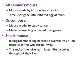 • Alzheimer’s mouse
– Mouse made by introducing amyloid
precursor gene into fertilized egg of mice.
• Oncomouse
– Mouse model to study cancer
– Made by inserting activated oncogenes.
• Smart mouse
– Biological model engineered to overexpress NR2B
receptor in the synaptic pathway.
– This makes the mice learn faster like juveniles
throughout their lives.
 