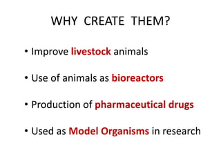 WHY CREATE THEM?
• Improve livestock animals
• Use of animals as bioreactors
• Production of pharmaceutical drugs
• Used as Model Organisms in research
 