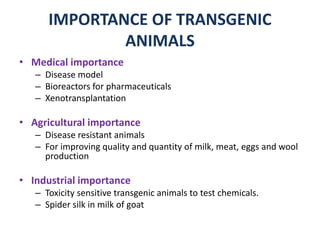 IMPORTANCE OF TRANSGENIC
ANIMALS
• Medical importance
– Disease model
– Bioreactors for pharmaceuticals
– Xenotransplantation
• Agricultural importance
– Disease resistant animals
– For improving quality and quantity of milk, meat, eggs and wool
production
• Industrial importance
– Toxicity sensitive transgenic animals to test chemicals.
– Spider silk in milk of goat
 