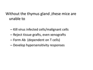 Without the thymus gland ,these mice are
unable to
– Kill virus infected cells/malignant cells
– Reject tissue grafts, even xenografts
– Form Ab (dependent on T cells)
– Develop hypersensitivity responses
 