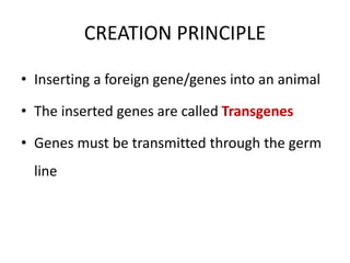 CREATION PRINCIPLE
• Inserting a foreign gene/genes into an animal
• The inserted genes are called Transgenes
• Genes must be transmitted through the germ
line
 