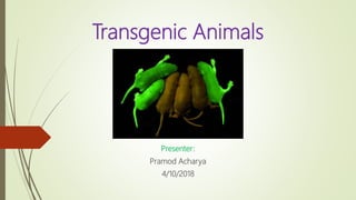 Transgenic Animals
Presenter:
Pramod Acharya
4/10/2018
 