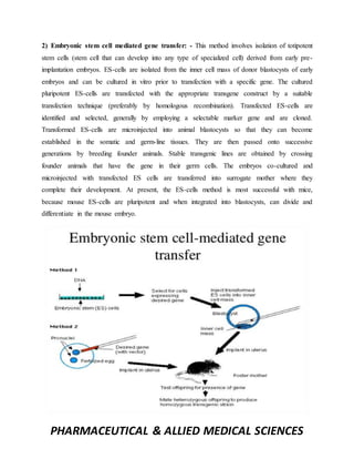 PHARMACEUTICAL & ALLIED MEDICAL SCIENCES
2) Embryonic stem cell mediated gene transfer: - This method involves isolation of totipotent
stem cells (stem cell that can develop into any type of specialized cell) derived from early pre-
implantation embryos. ES-cells are isolated from the inner cell mass of donor blastocysts of early
embryos and can be cultured in vitro prior to transfection with a specific gene. The cultured
pluripotent ES-cells are transfected with the appropriate transgene construct by a suitable
transfection technique (preferably by homologous recombination). Transfected ES-cells are
identified and selected, generally by employing a selectable marker gene and are cloned.
Transformed ES-cells are microinjected into animal blastocysts so that they can become
established in the somatic and germ-line tissues. They are then passed onto successive
generations by breeding founder animals. Stable transgenic lines are obtained by crossing
founder animals that have the gene in their germ cells. The embryos co-cultured and
microinjected with transfected ES cells are transferred into surrogate mother where they
complete their development. At present, the ES-cells method is most successful with mice,
because mouse ES-cells are pluripotent and when integrated into blastocysts, can divide and
differentiate in the mouse embryo.
 