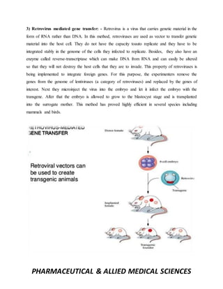PHARMACEUTICAL & ALLIED MEDICAL SCIENCES
3) Retrovirus mediated gene transfer: - Retrovirus is a virus that carries genetic material in the
form of RNA rather than DNA. In this method, retroviruses are used as vector to transfer genetic
material into the host cell. They do not have the capacity toauto replicate and they have to be
integrated stably in the genome of the cells they infected to replicate. Besides, they also have an
enzyme called reverse-transcriptase which can make DNA from RNA and can easily be altered
so that they will not destroy the host cells that they are to invade. This property of retroviruses is
being implemented to integrate foreign genes. For this purpose, the experimenters remove the
genes from the genome of lentiviruses (a category of retroviruses) and replaced by the genes of
interest. Next they microinject the virus into the embryo and let it infect the embryo with the
transgene. After that the embryo is allowed to grow to the blastocyst stage and is transplanted
into the surrogate mother. This method has proved highly efficient in several species including
mammals and birds.
 