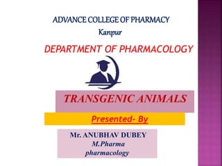 ADVANCE COLLEGE OF PHARMACY
Kanpur
DEPARTMENT OF PHARMACOLOGY
Mr. ANUBHAV DUBEY
M.Pharma
pharmacology
TRANSGENIC ANIMALS
Presented- By
 