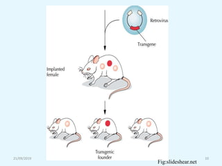 21/09/2019 10
Fig:slideshear.net
 