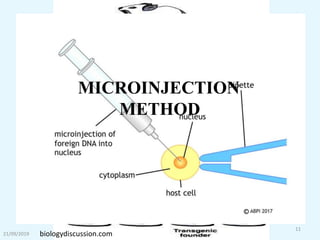 21/09/2019
11
MICROINJECTION
METHOD
biologydiscussion.com
 