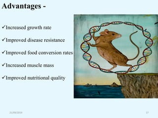 21/09/2019 17
Advantages -
Increased growth rate
Improved disease resistance
Improved food conversion rates
Increased muscle mass
Improved nutritional quality
 