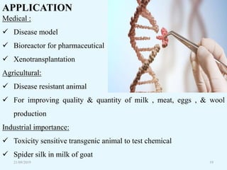 21/09/2019 19
APPLICATION
Medical :
 Disease model
 Bioreactor for pharmaceutical
 Xenotransplantation
Agricultural:
 Disease resistant animal
 For improving quality & quantity of milk , meat, eggs , & wool
production
Industrial importance:
 Toxicity sensitive transgenic animal to test chemical
 Spider silk in milk of goat
 