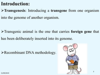 21/09/2019
3
Introduction:
Transgenesis: Introducing a transgene from one organism
into the genome of another organism.
Transgenic animal is the one that carries foreign gene that
has been deliberately inserted into its genome.
Recombinant DNA methodology.
 